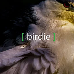 Birdie Game icon