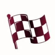 Flagdoku icon