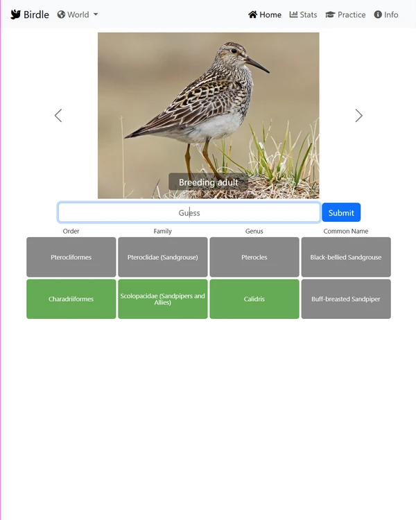 Screenshot of Birdle, a daily animal game