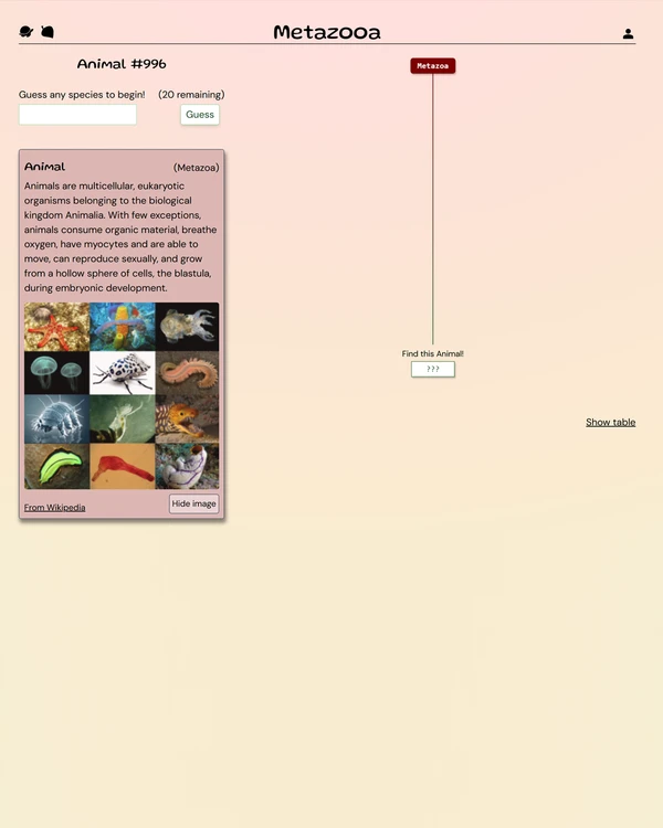 Screenshot of Metazooa, a daily animal game