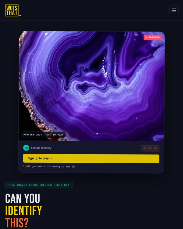 Screenshot of WotsThat, a daily visual game